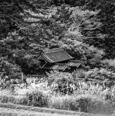 山門２