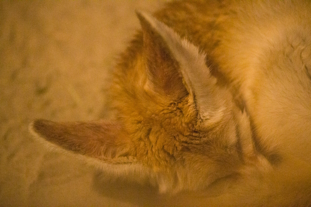 ISO 51200の世界