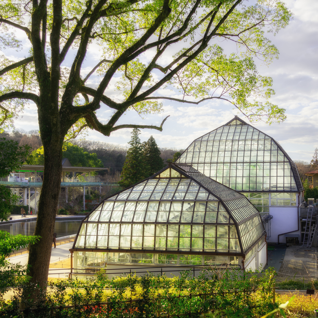 植物園