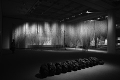 国際芸術祭「あいち2025」アフラ・アル・ダヘリ