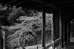 陽輝荘