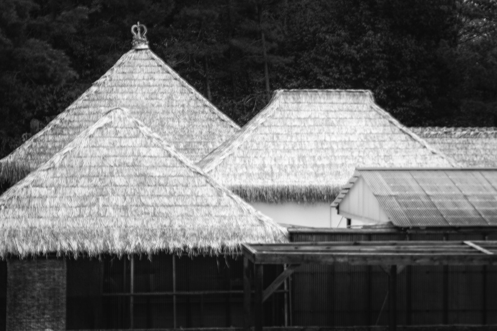 リトルワールド