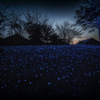 夕暮れ