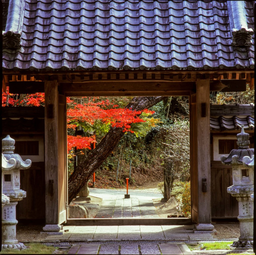 龍護寺　紅葉２