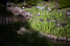 EF200mm F1.8 L USM２