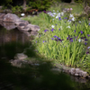 EF200mm F1.8 L USM２