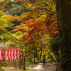 紅葉狩り