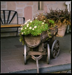 花車
