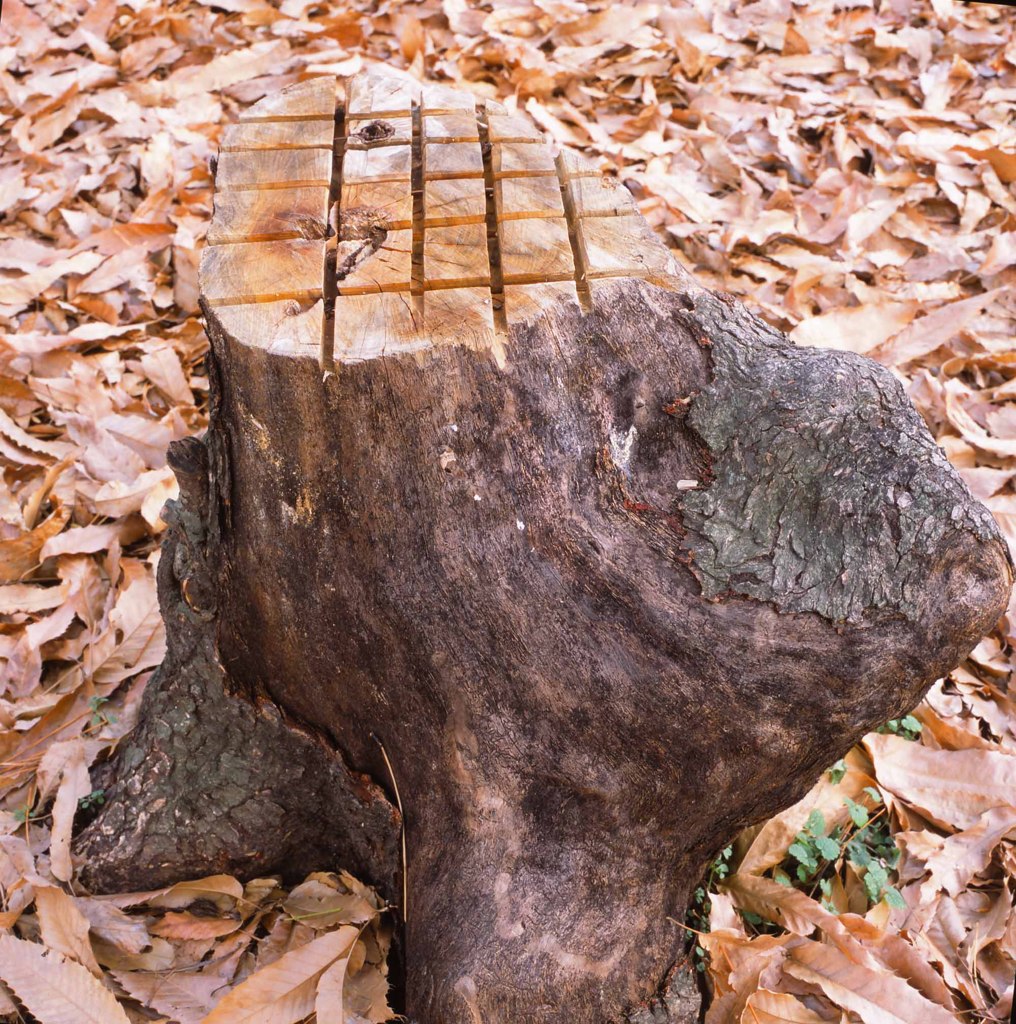 何かに似ている