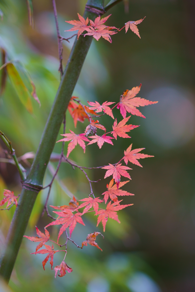 終末