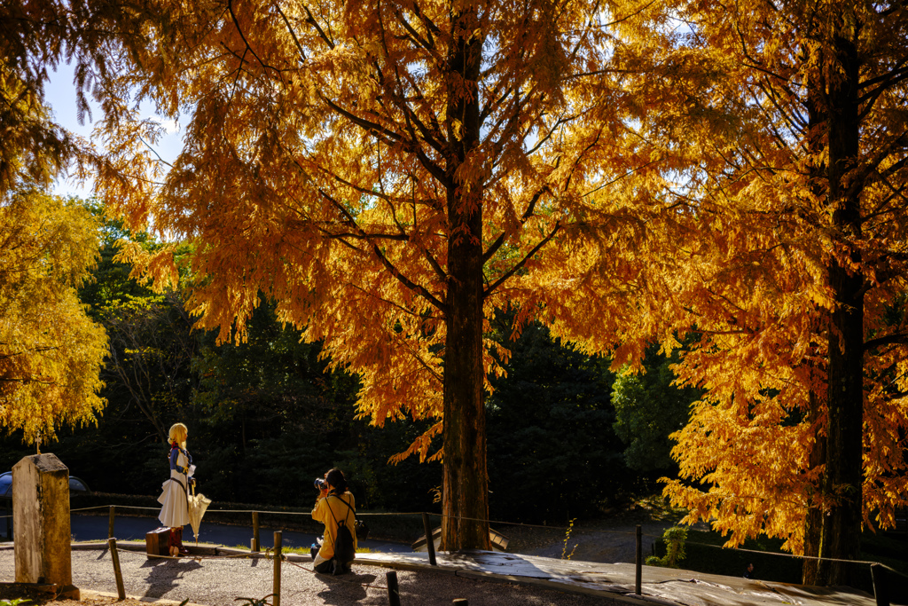 リトルワールド紅葉