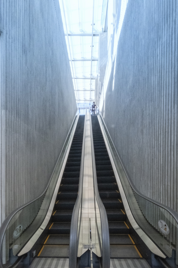 岡崎市美術博物館