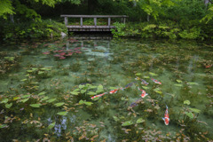 モネの池
