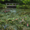 モネの池