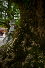 太宰府３