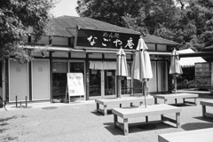 開店してます