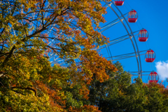 Ferris wheel