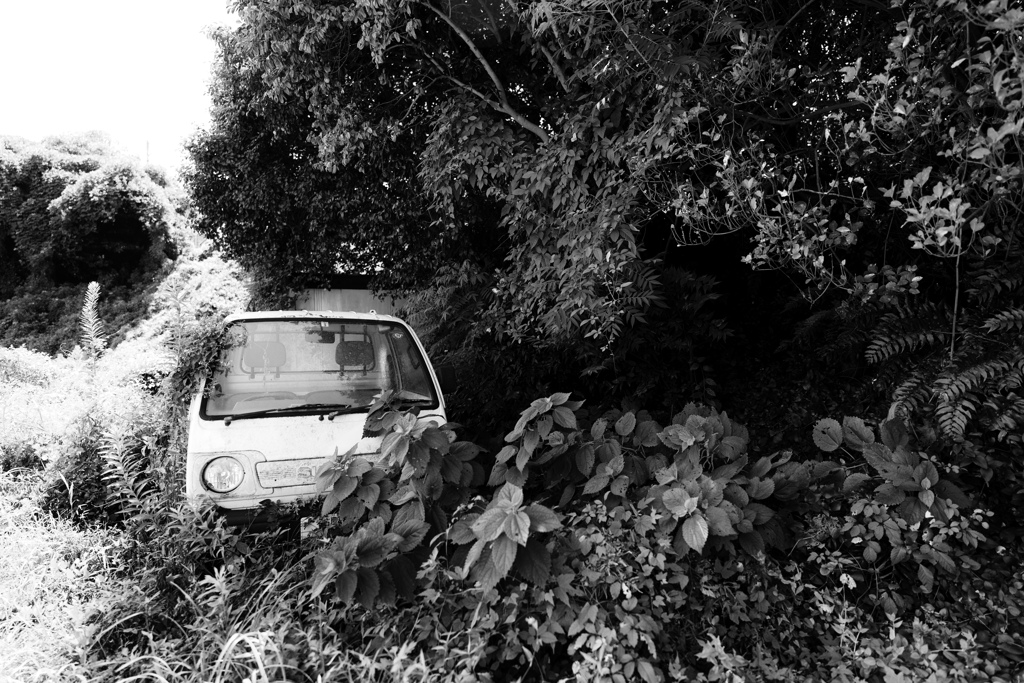 廃車