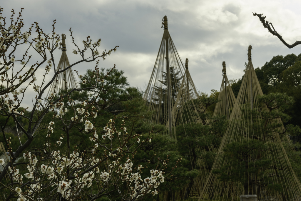 白鳥庭園