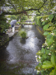 醒井宿　地蔵川