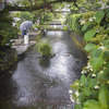 醒井宿　地蔵川