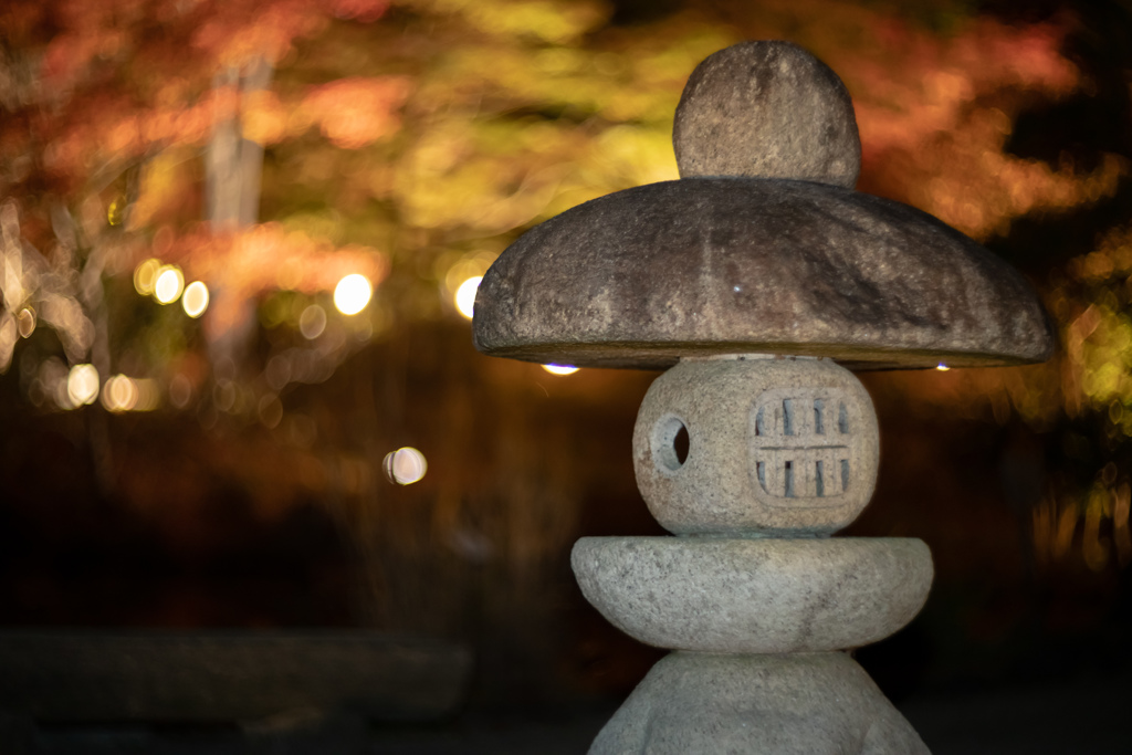 人出の割には紅葉していなかった。