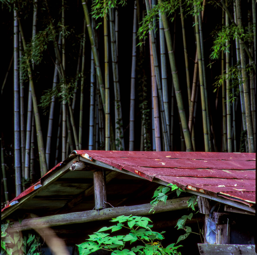 赤い屋根の小屋