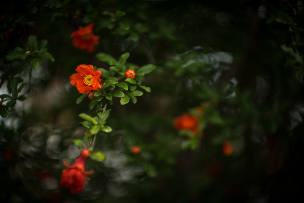 大留住宅はな３