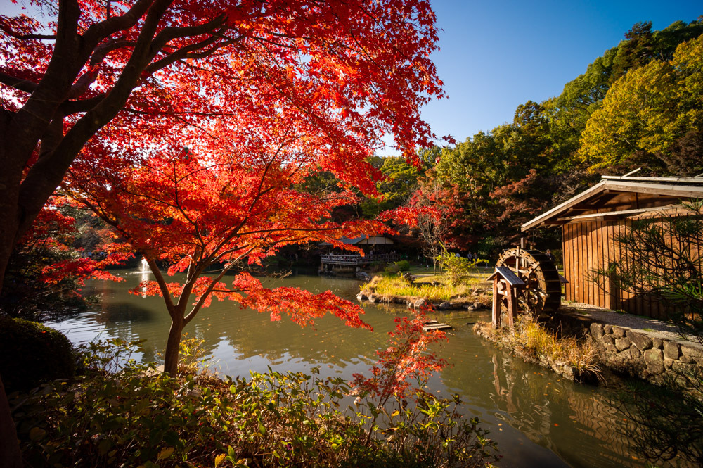 水車小屋のある風景