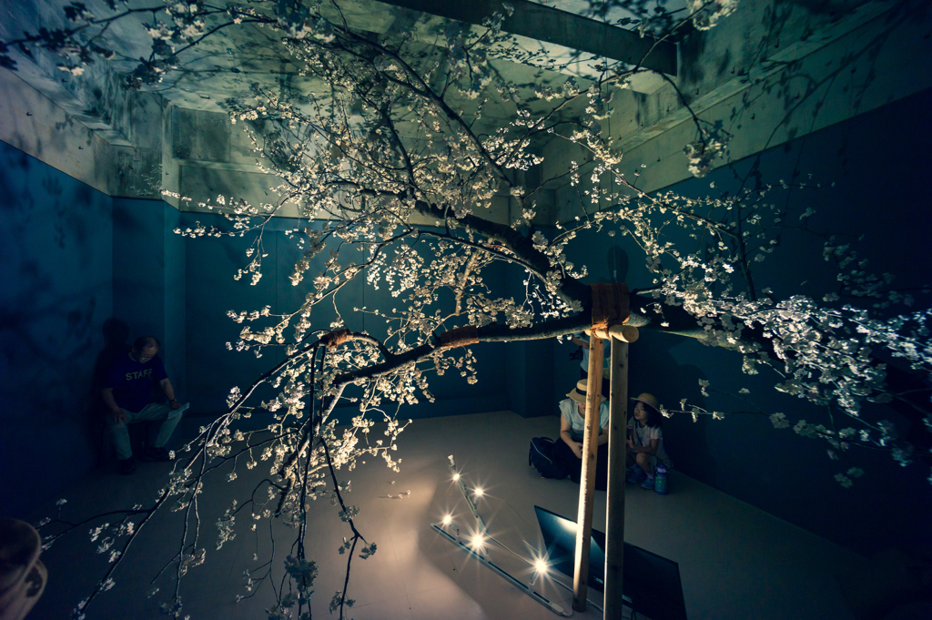 ウイロウで作った桜の花　あいちトリエンナーレ