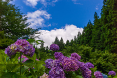 梅雨の晴れ間