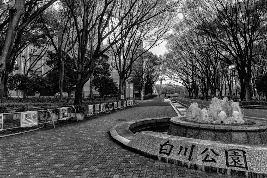 今年もお世話になりました。