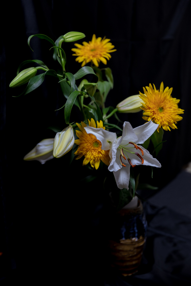 紫外線励起蛍光撮影　前