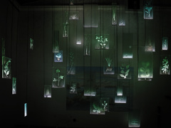 国際芸術祭「あいち2025」