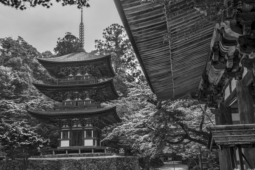 西明寺