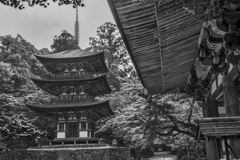 西明寺