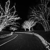帰り道