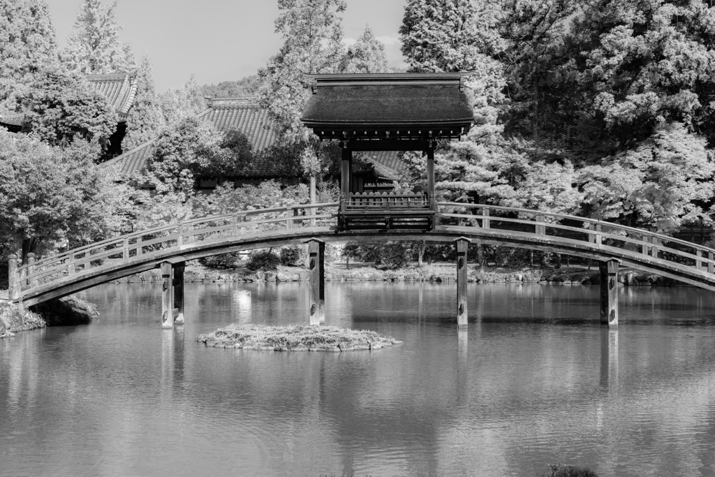  永保寺　無際橋