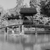  永保寺　無際橋