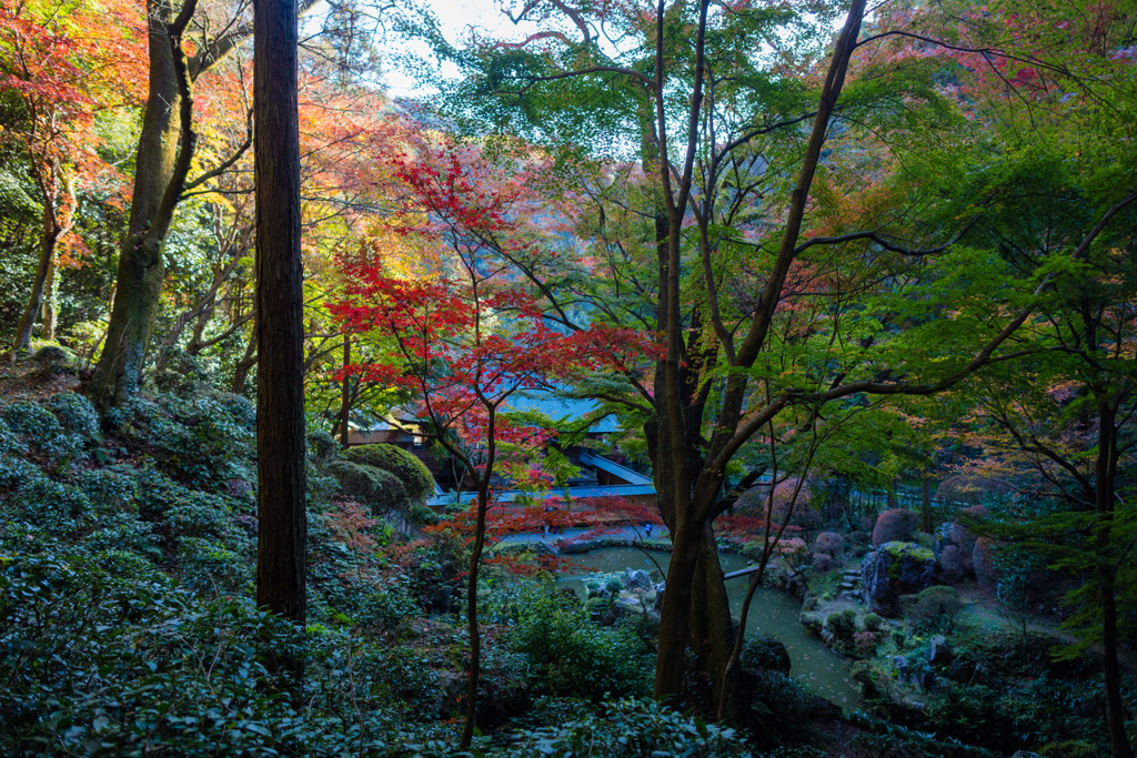 内々神社