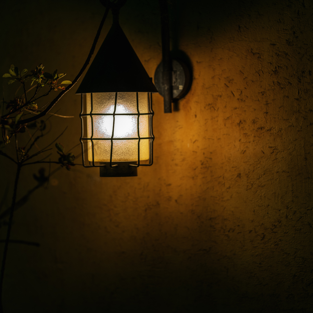 燈