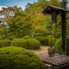 古井戸
