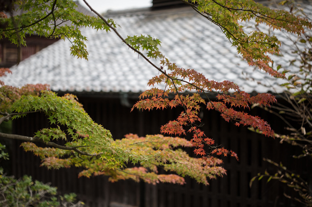 秋の明治村１