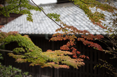 秋の明治村１