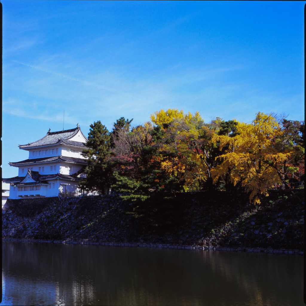 名古屋城、嗚呼、名古屋城、名古屋城４