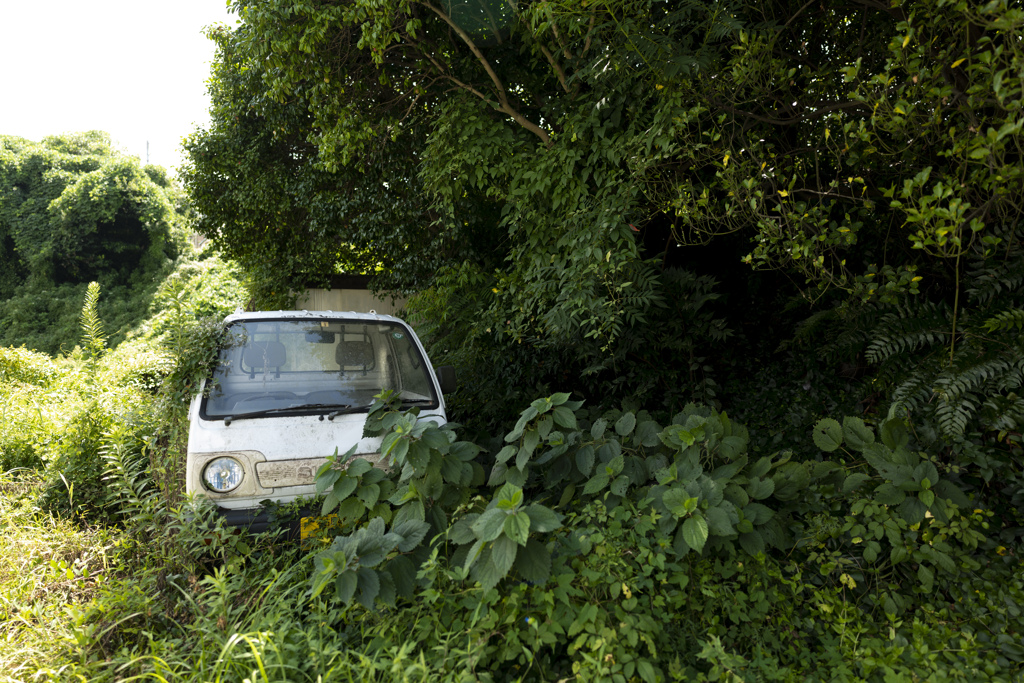 廃車