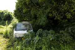 廃車