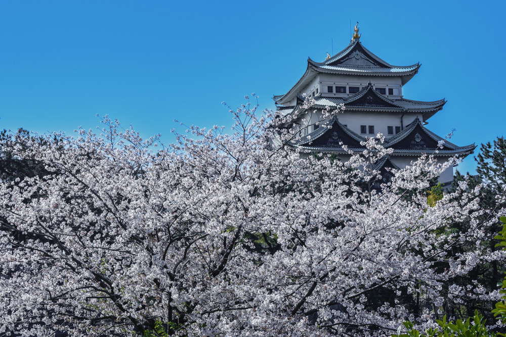 名古屋城