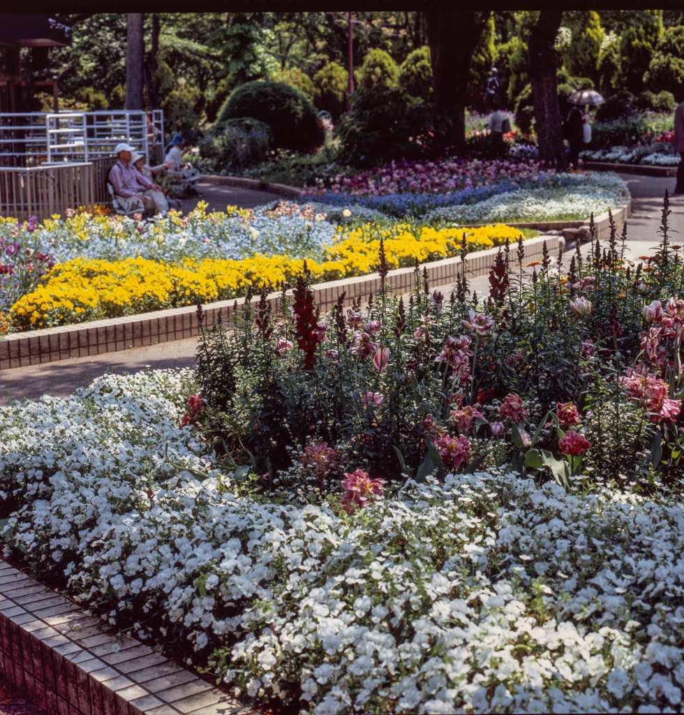 花園　名城公園