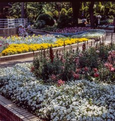 花園　名城公園